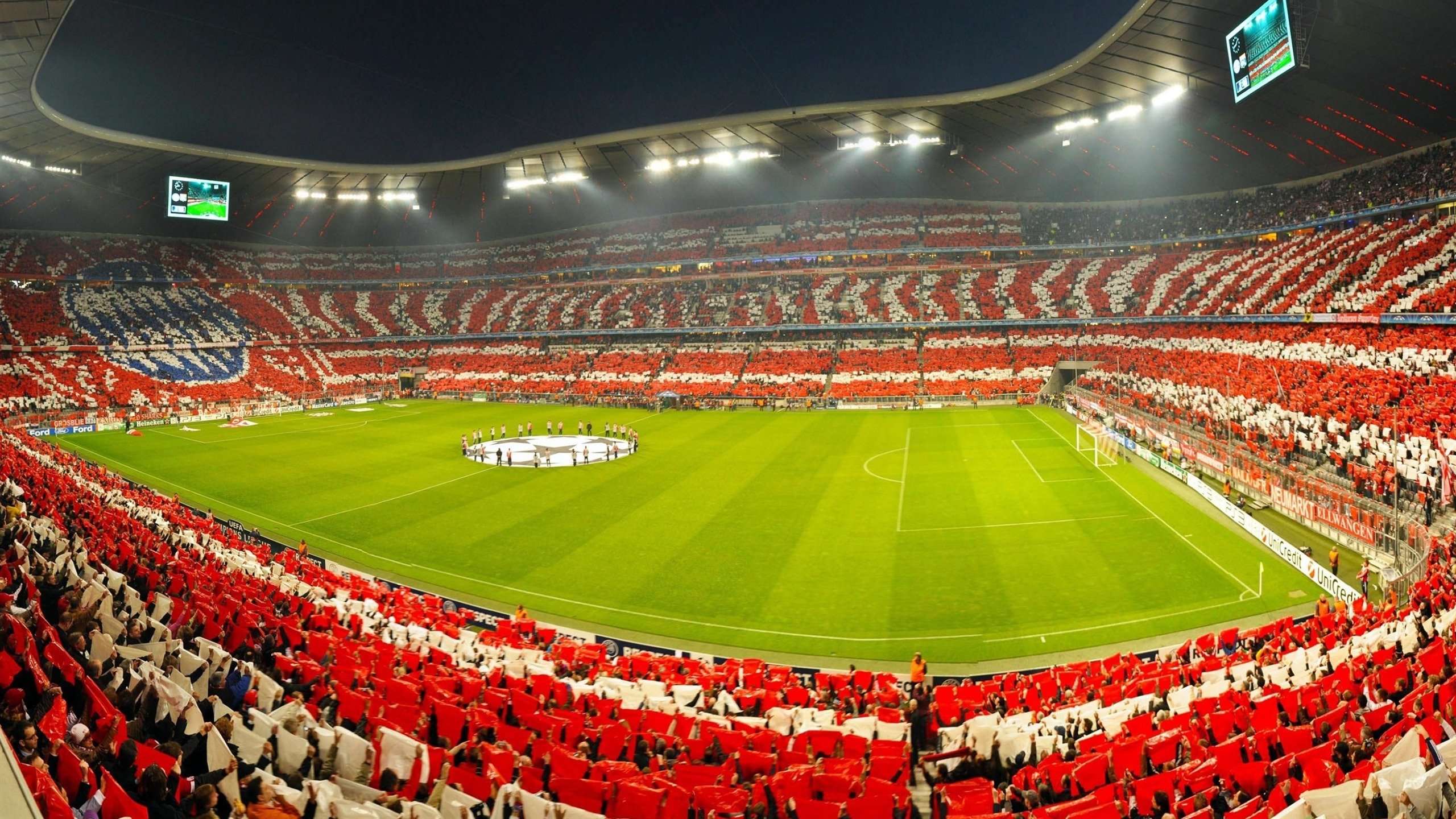 田径赛场焦点！澳大利亚队对阵葡萄牙队，超级对决，球迷热情点燃赛场